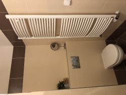 IMG_3683.JPG